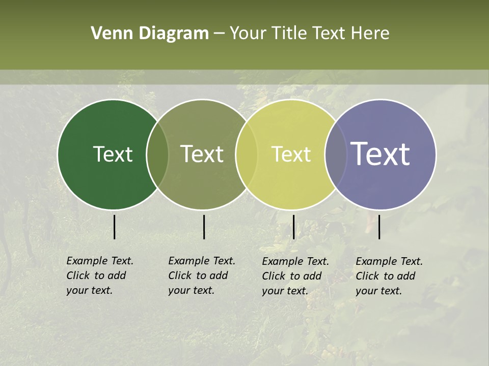 House Loan Structure PowerPoint Template