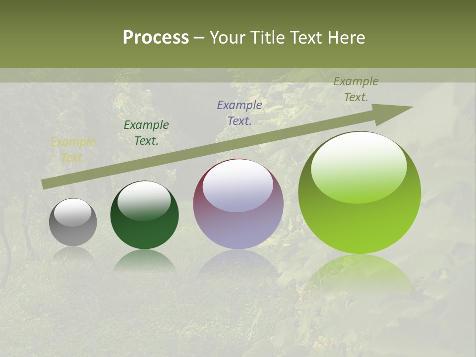 House Loan Structure PowerPoint Template