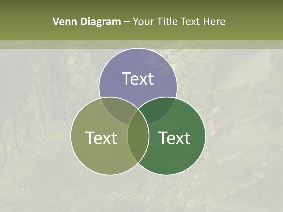 House Loan Structure PowerPoint Template