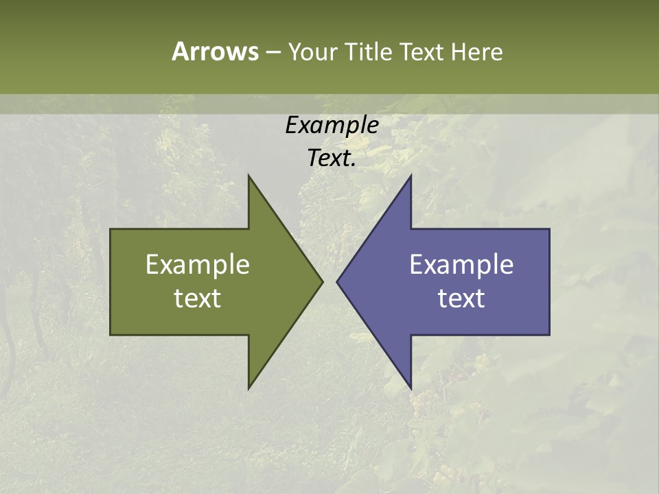 House Loan Structure PowerPoint Template