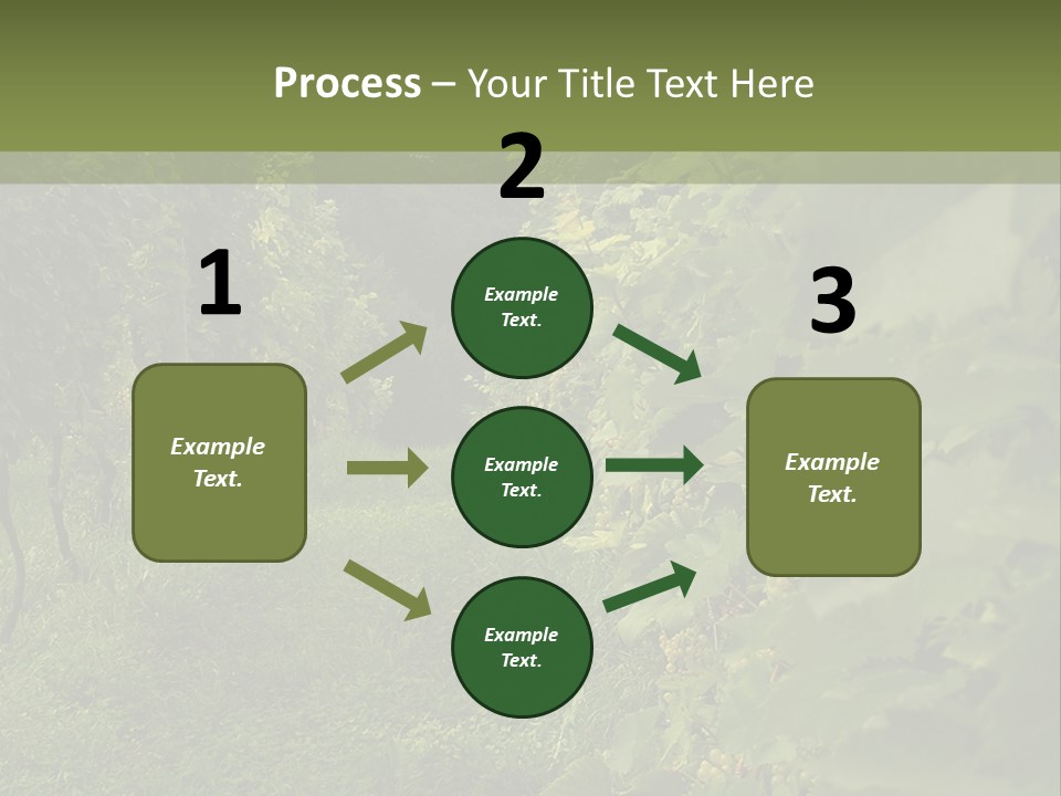 House Loan Structure PowerPoint Template
