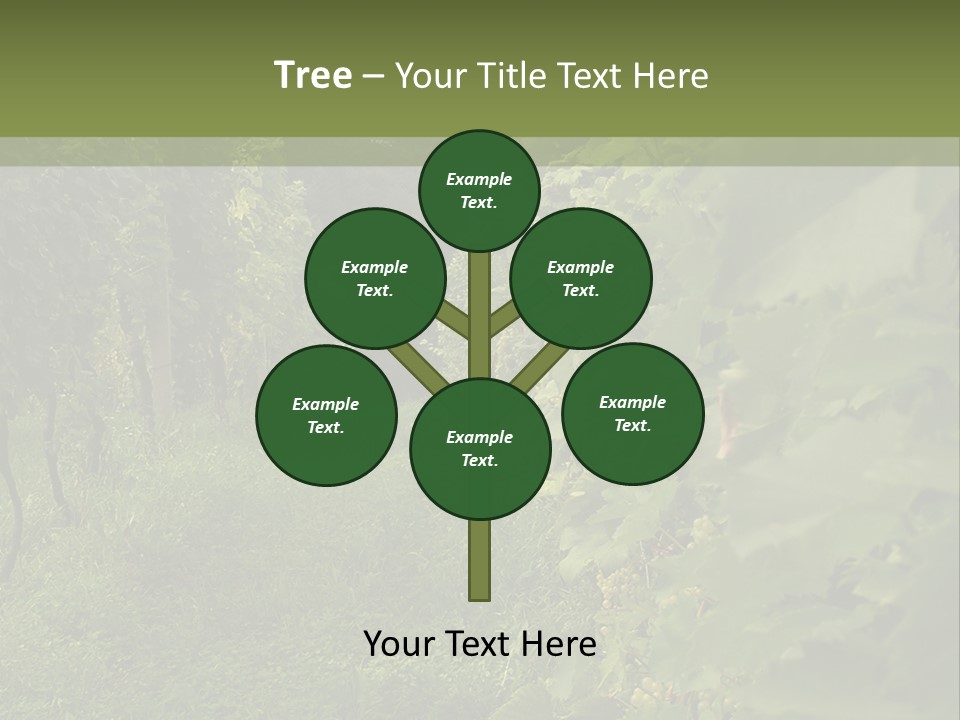 House Loan Structure PowerPoint Template