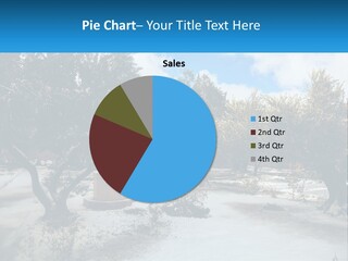 Structure Estate Conceptual PowerPoint Template