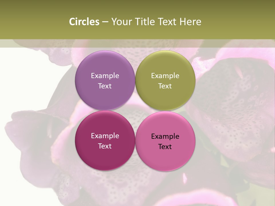 Residential Made Sky PowerPoint Template