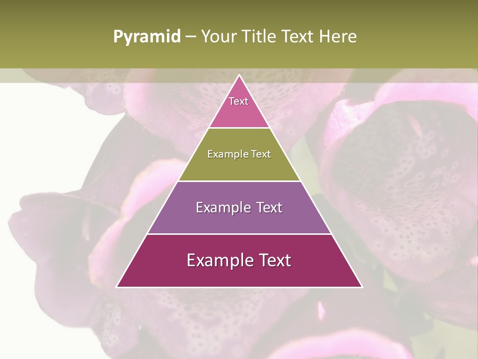 Residential Made Sky PowerPoint Template