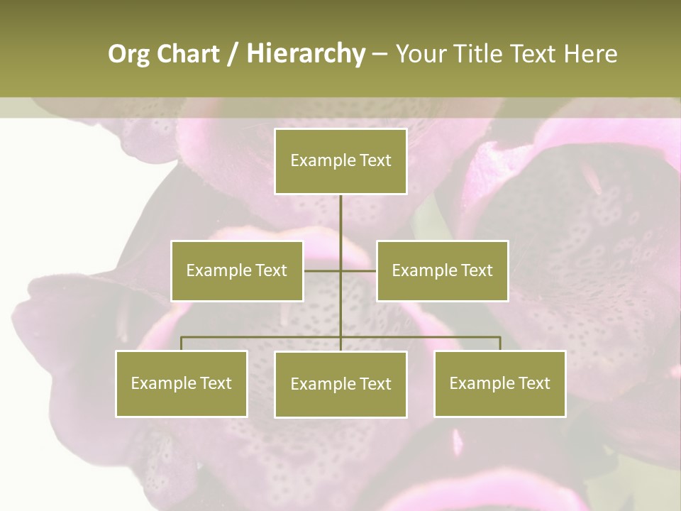 Residential Made Sky PowerPoint Template