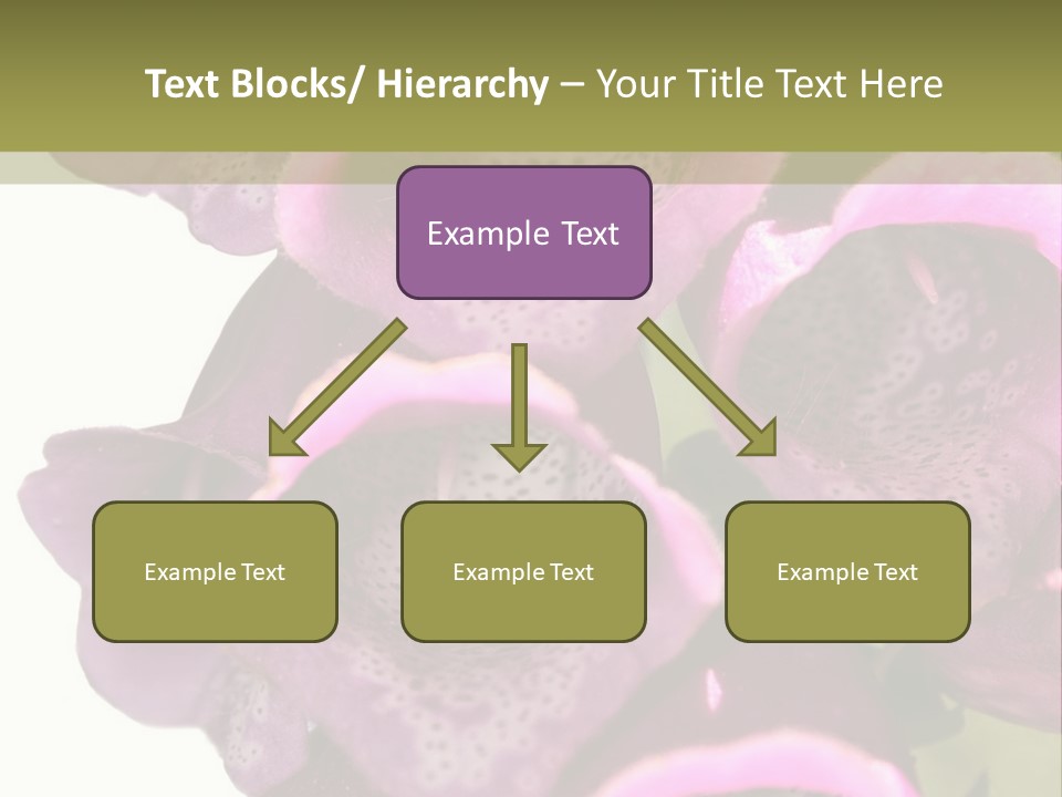 Residential Made Sky PowerPoint Template