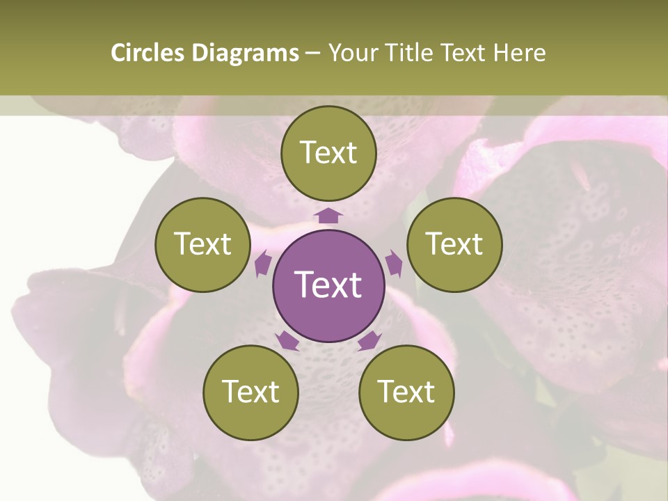 Residential Made Sky PowerPoint Template