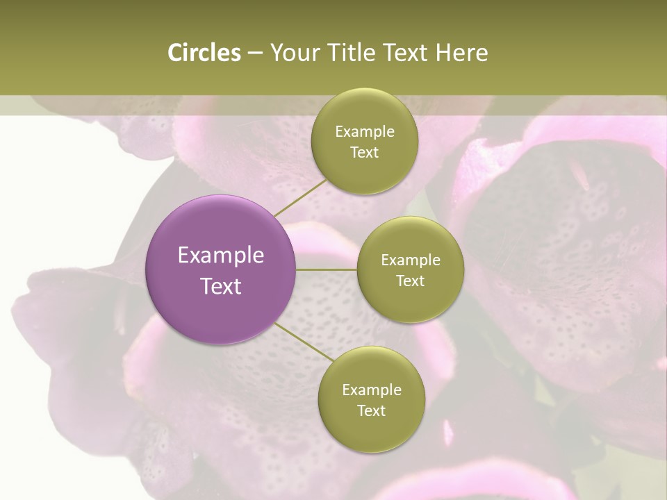 Residential Made Sky PowerPoint Template