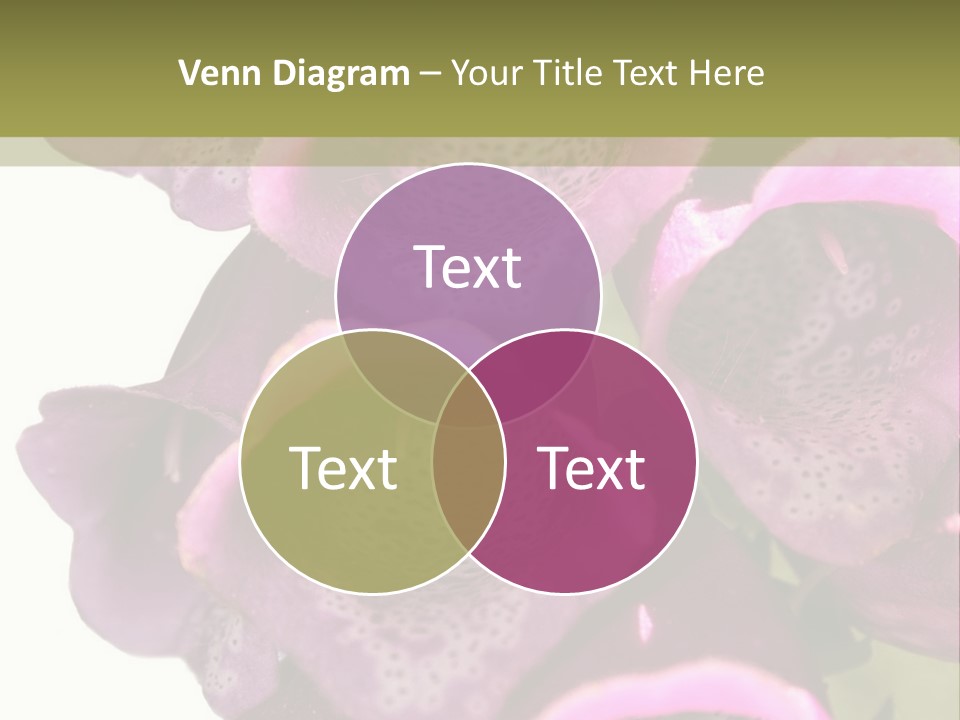 Residential Made Sky PowerPoint Template