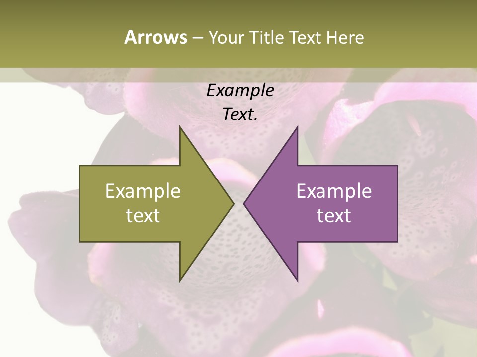 Residential Made Sky PowerPoint Template