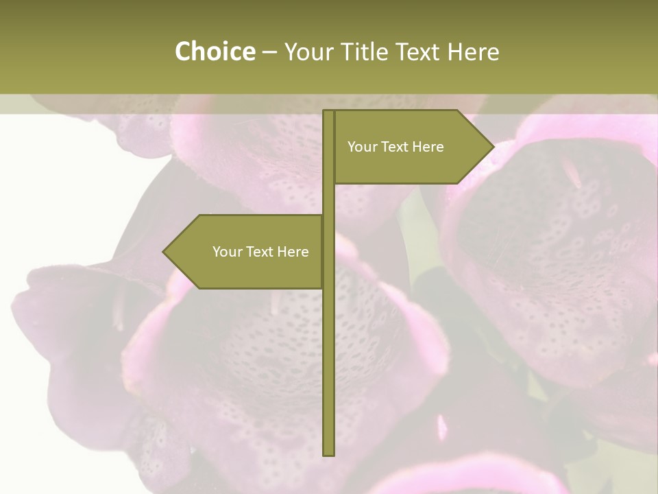 Residential Made Sky PowerPoint Template