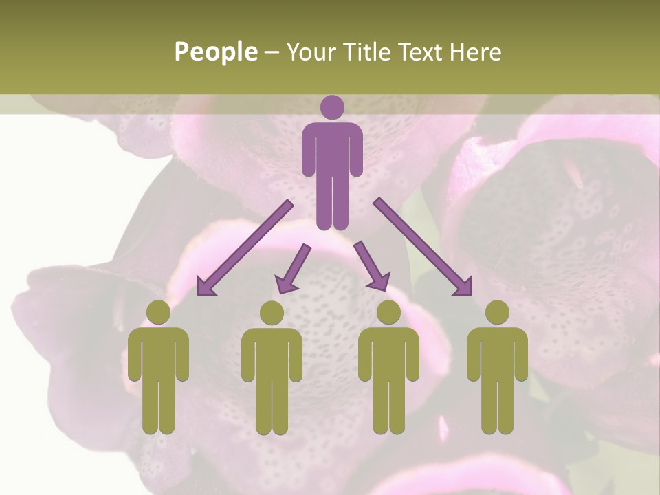 Residential Made Sky PowerPoint Template