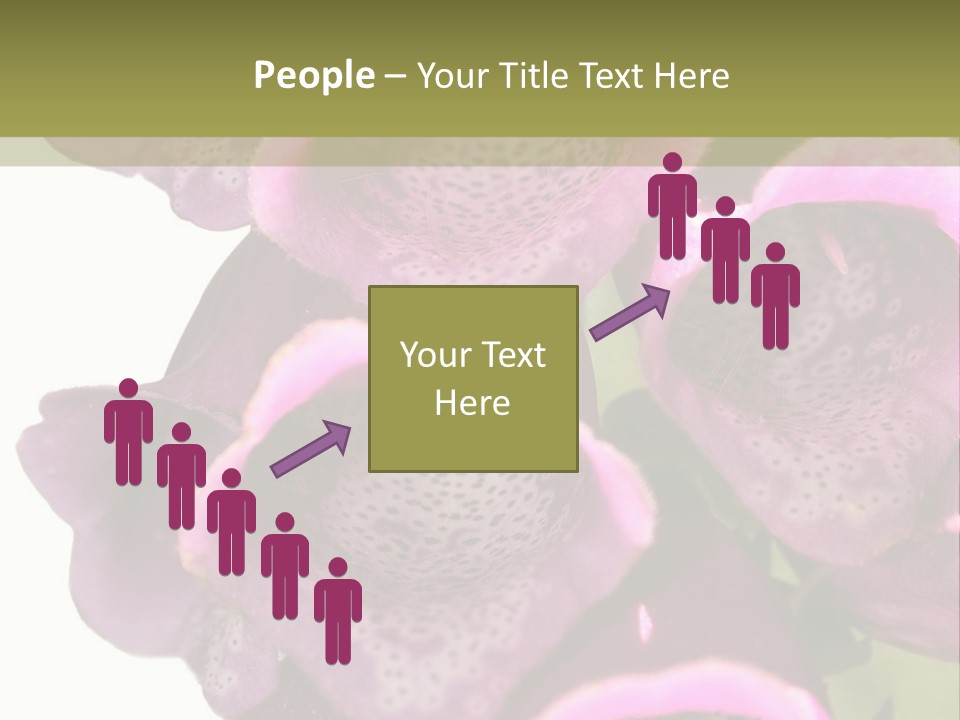 Residential Made Sky PowerPoint Template