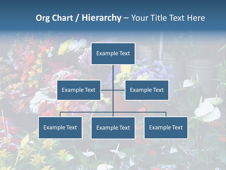 Residential Purchase Made PowerPoint Template