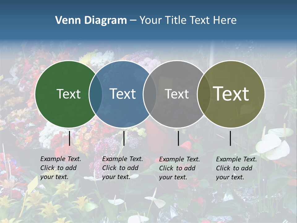 Residential Purchase Made PowerPoint Template
