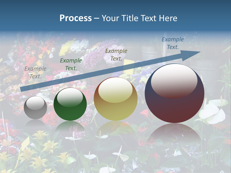Residential Purchase Made PowerPoint Template