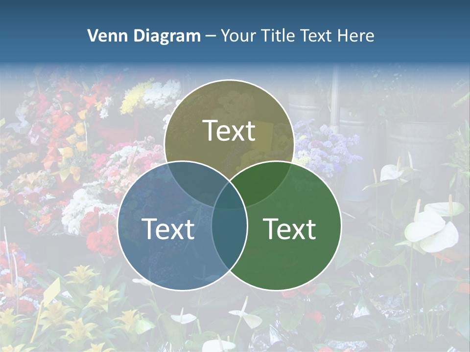 Residential Purchase Made PowerPoint Template