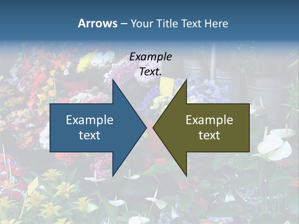 Residential Purchase Made PowerPoint Template
