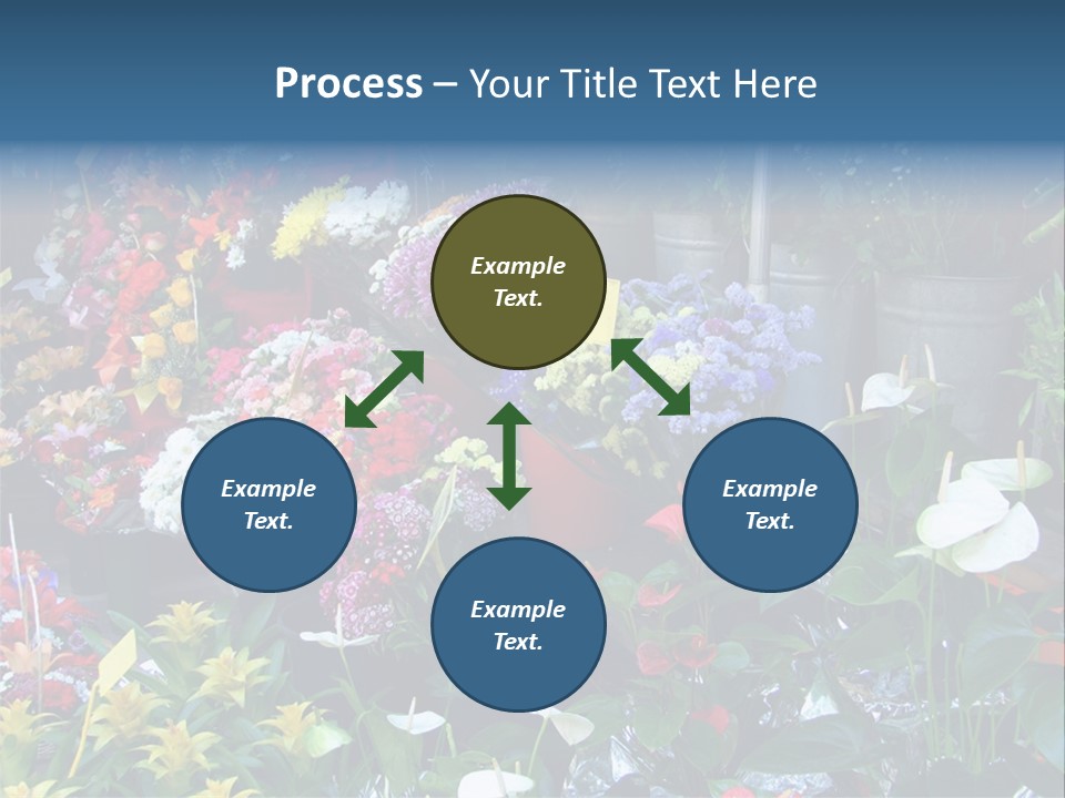 Residential Purchase Made PowerPoint Template