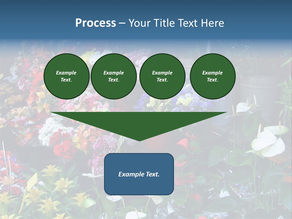 Residential Purchase Made PowerPoint Template