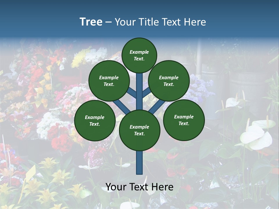 Residential Purchase Made PowerPoint Template