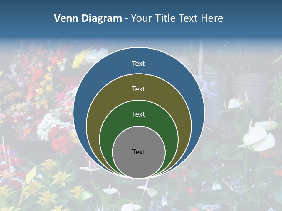 Residential Purchase Made PowerPoint Template