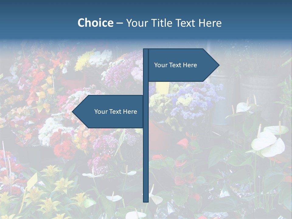 Residential Purchase Made PowerPoint Template