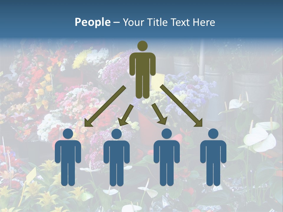 Residential Purchase Made PowerPoint Template