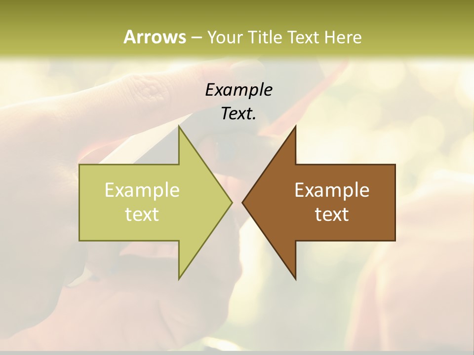 Loan Residential Grass PowerPoint Template