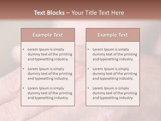 Small Rent Buy PowerPoint Template