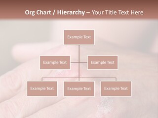 Small Rent Buy PowerPoint Template