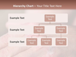Small Rent Buy PowerPoint Template