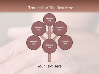 Small Rent Buy PowerPoint Template