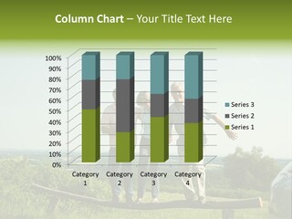 Estate Sale Dream PowerPoint Template