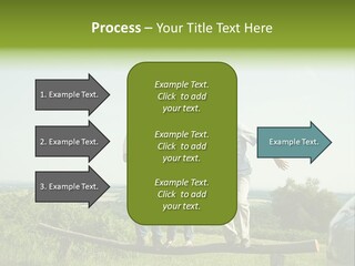 Estate Sale Dream PowerPoint Template