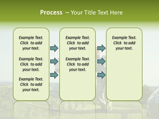 Estate Sale Dream PowerPoint Template