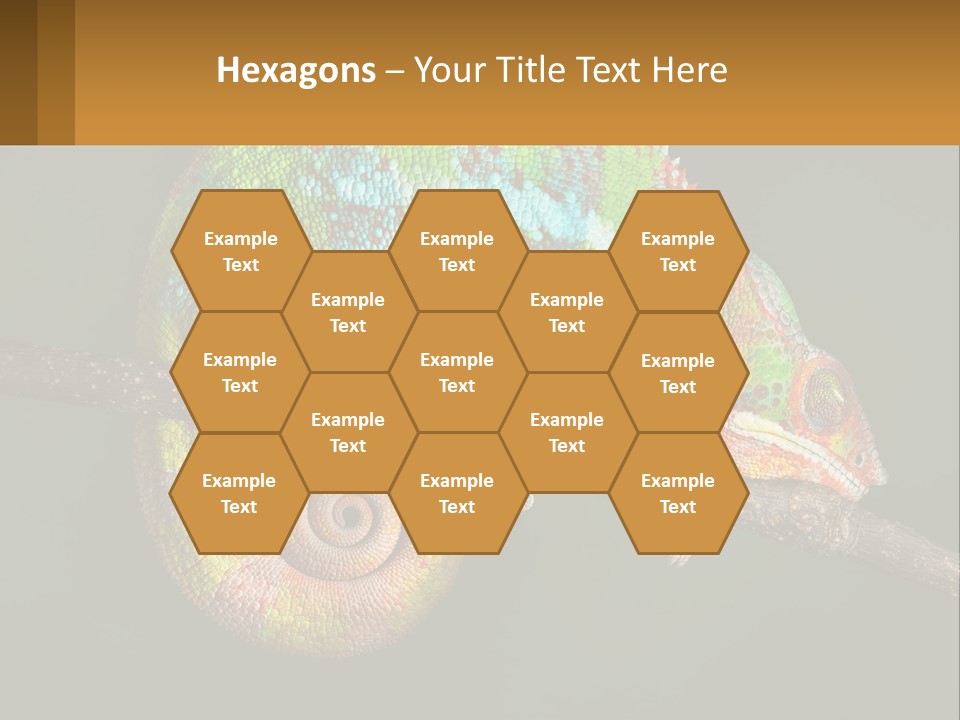 Build Architect Dream PowerPoint Template