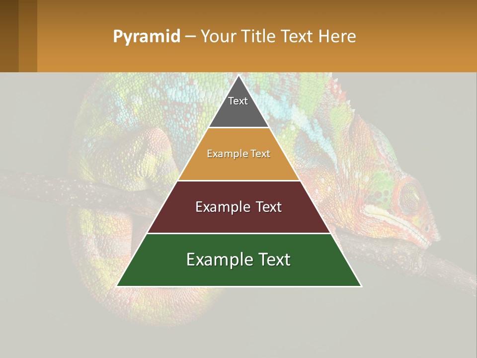 Build Architect Dream PowerPoint Template