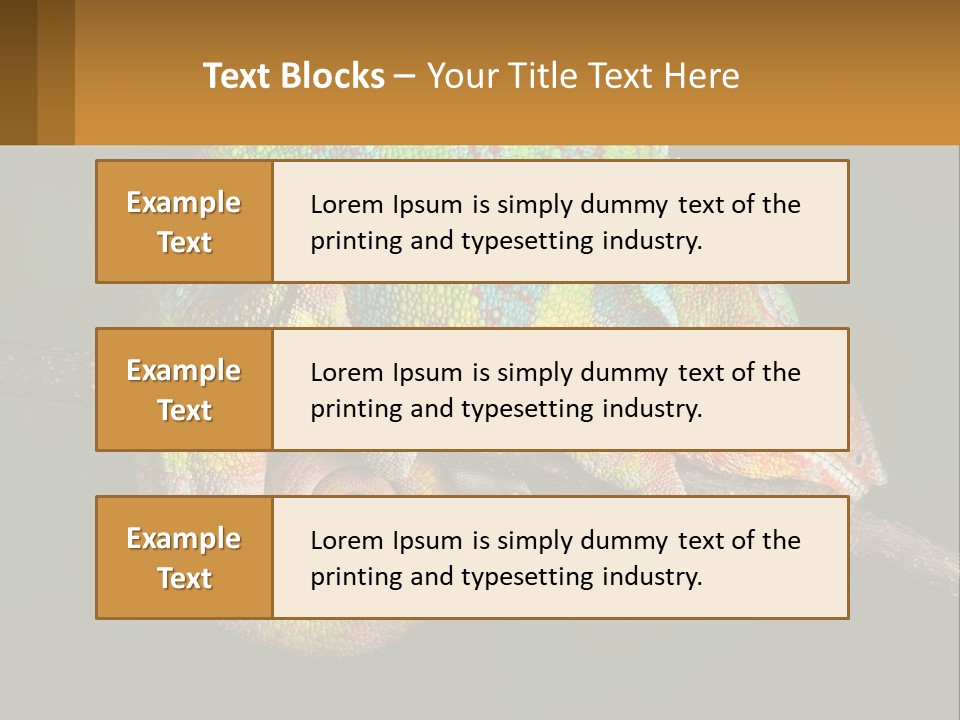 Build Architect Dream PowerPoint Template