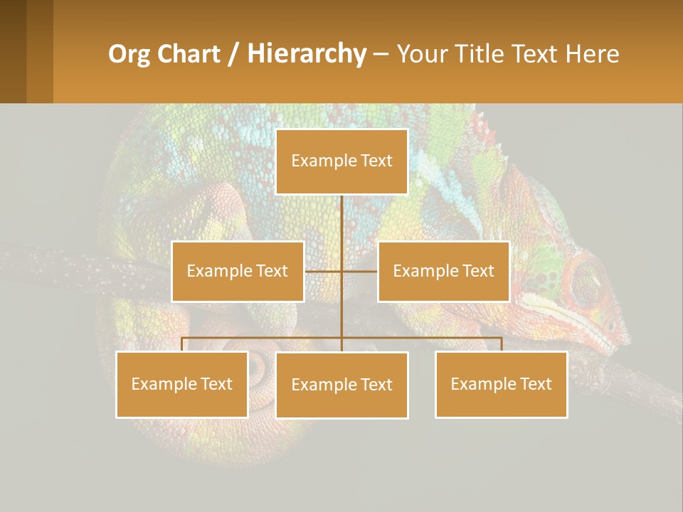Build Architect Dream PowerPoint Template