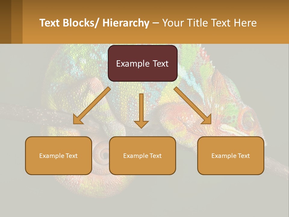 Build Architect Dream PowerPoint Template