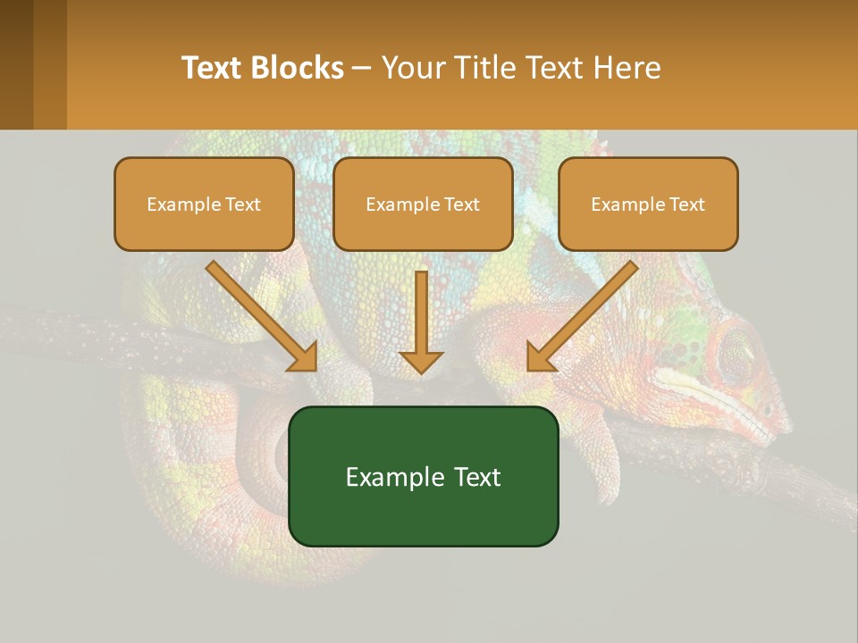 Build Architect Dream PowerPoint Template