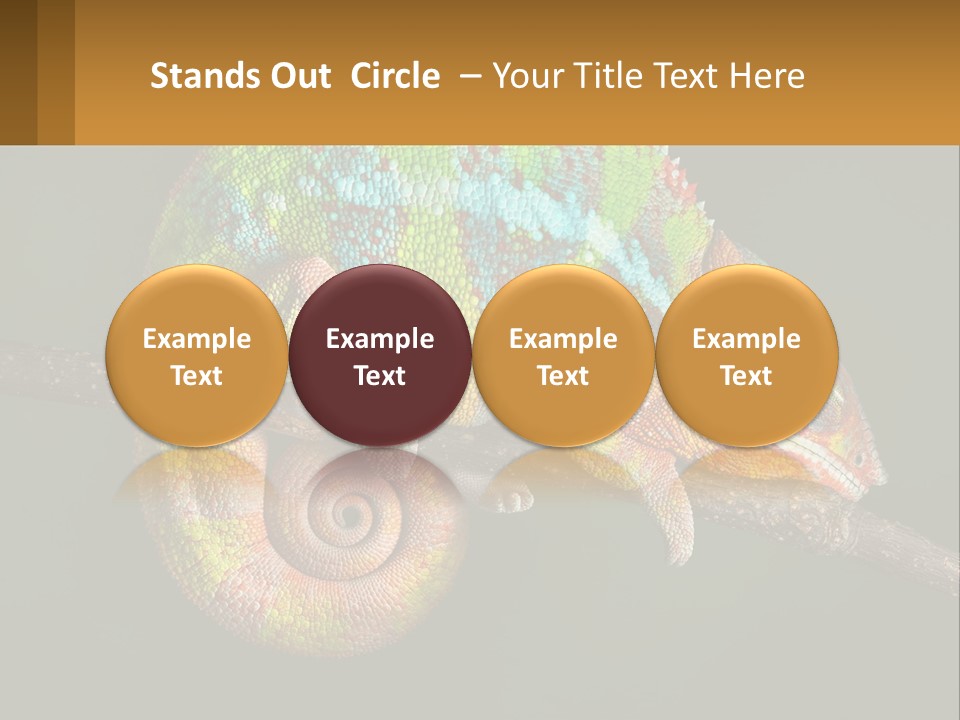 Build Architect Dream PowerPoint Template