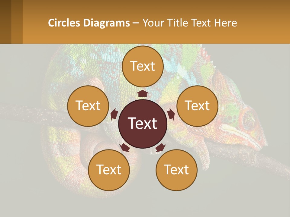 Build Architect Dream PowerPoint Template