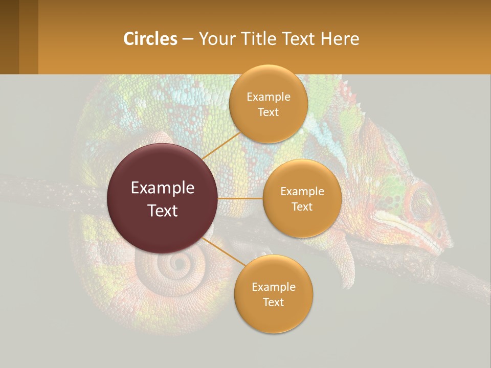Build Architect Dream PowerPoint Template