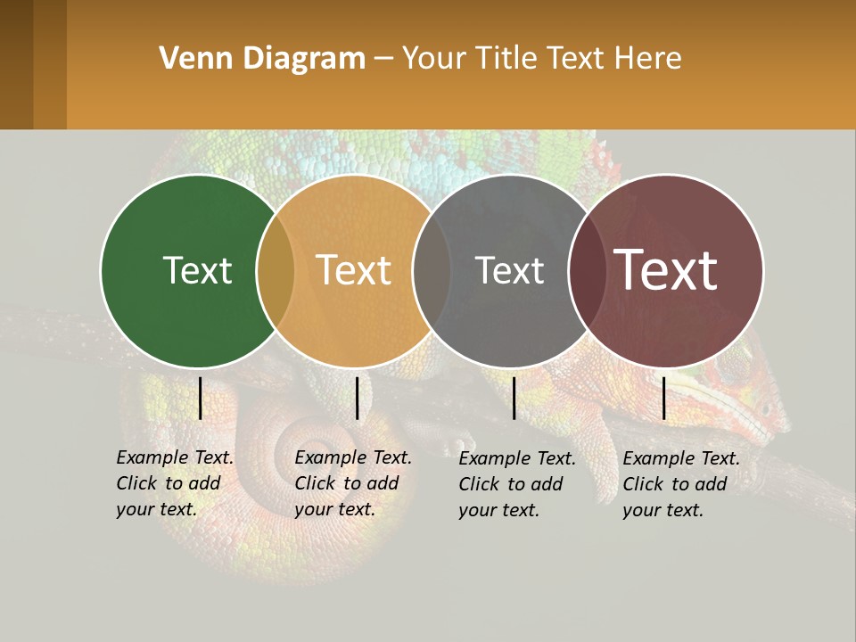 Build Architect Dream PowerPoint Template