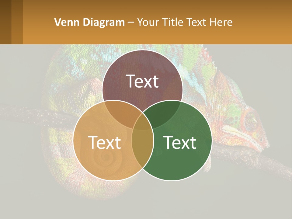 Build Architect Dream PowerPoint Template