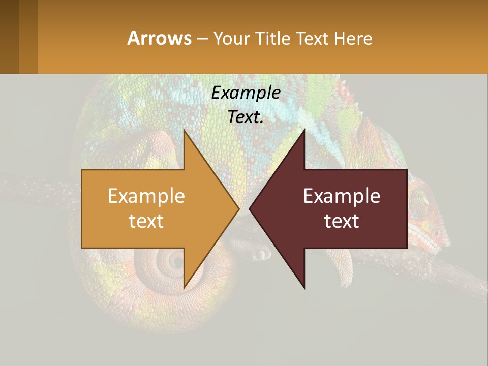 Build Architect Dream PowerPoint Template