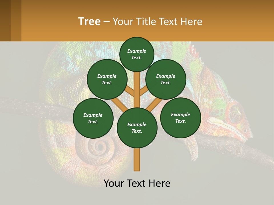 Build Architect Dream PowerPoint Template